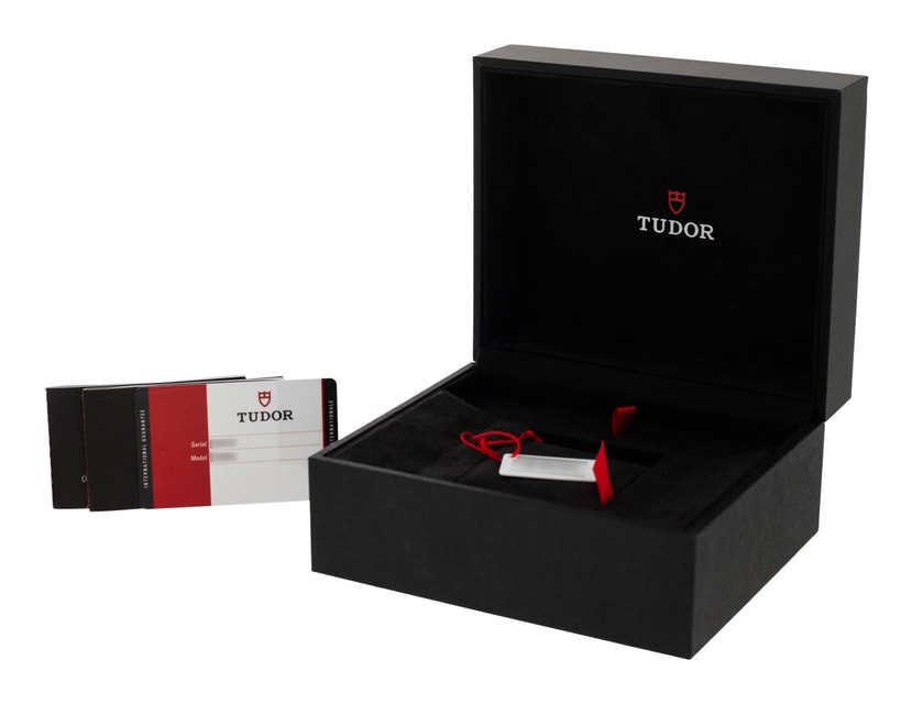 Tudor Black Bay 58 M79030N-0001 Image 4